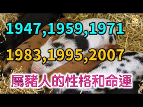 1995 五行|【1995年 五行】1995年五行屬什麼？揭曉你的命理密碼！